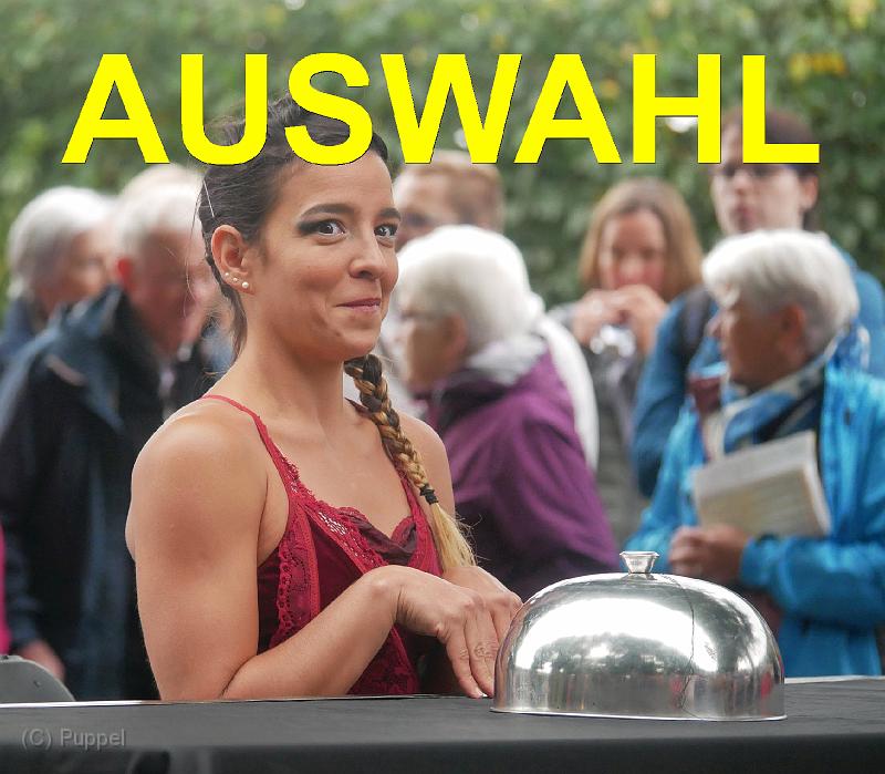 A Auswahl.jpg